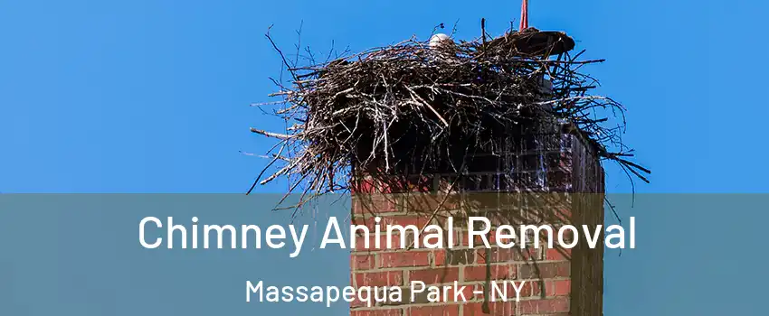  Chimney Animal Removal Massapequa Park - NY