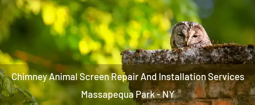  Chimney Animal Screen Repair And Installation Services Massapequa Park - NY