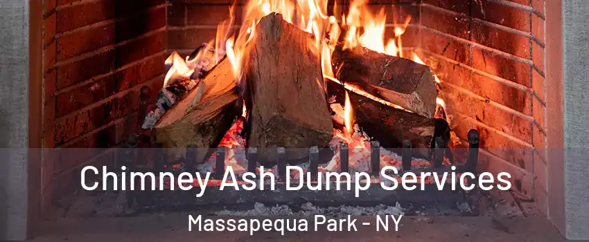  Chimney Ash Dump Services Massapequa Park - NY