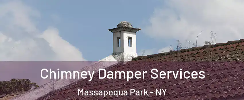  Chimney Damper Services Massapequa Park - NY