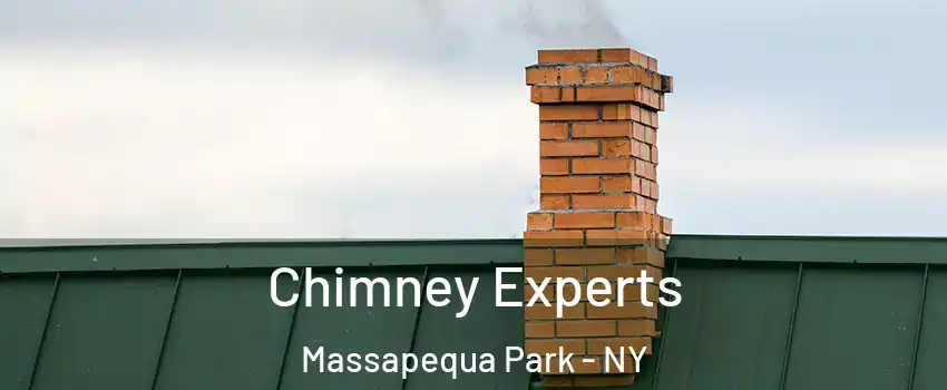  Chimney Experts Massapequa Park - NY