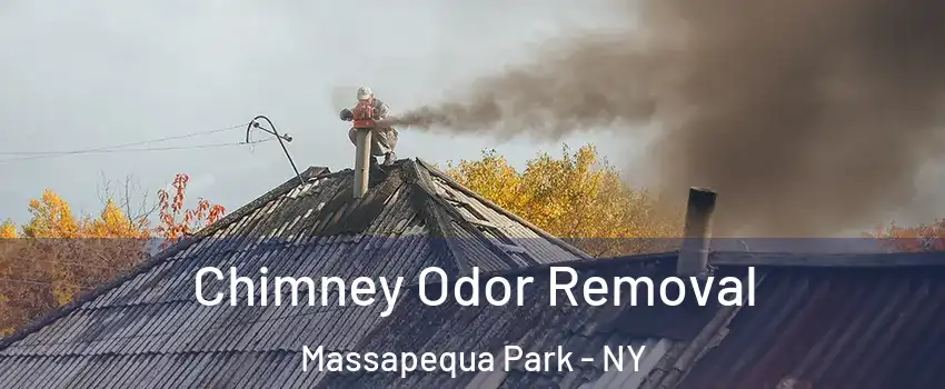  Chimney Odor Removal Massapequa Park - NY