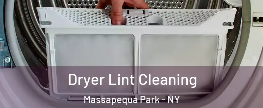 Dryer Lint Cleaning Massapequa Park - NY