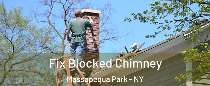  Fix Blocked Chimney Massapequa Park - NY