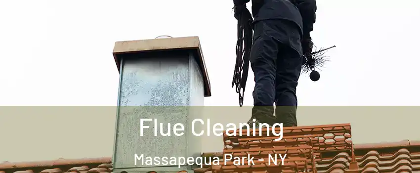  Flue Cleaning Massapequa Park - NY