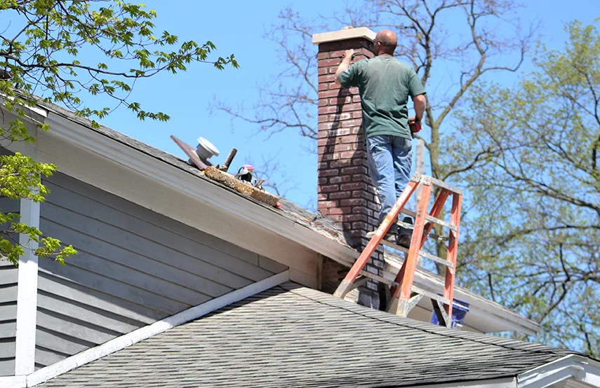 Chimney & Fireplace Inspections Services in Massapequa Park, NY