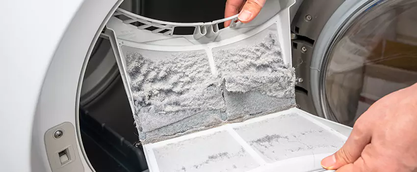 Best Dryer Lint Removal Company in Massapequa Park, New York
