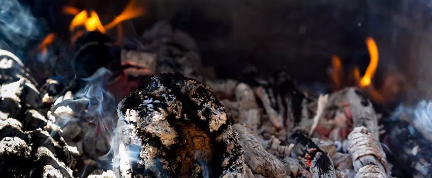 Creosote Removal Experts in Massapequa Park, NY