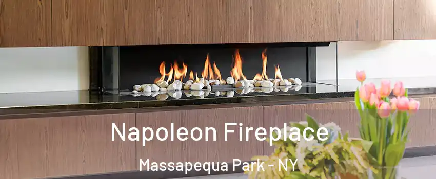  Napoleon Fireplace Massapequa Park - NY